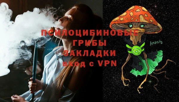 ПСИЛОЦИБИНОВЫЕ ГРИБЫ Кукмор