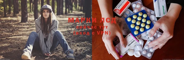 ПСИЛОЦИБИНОВЫЕ ГРИБЫ Кукмор